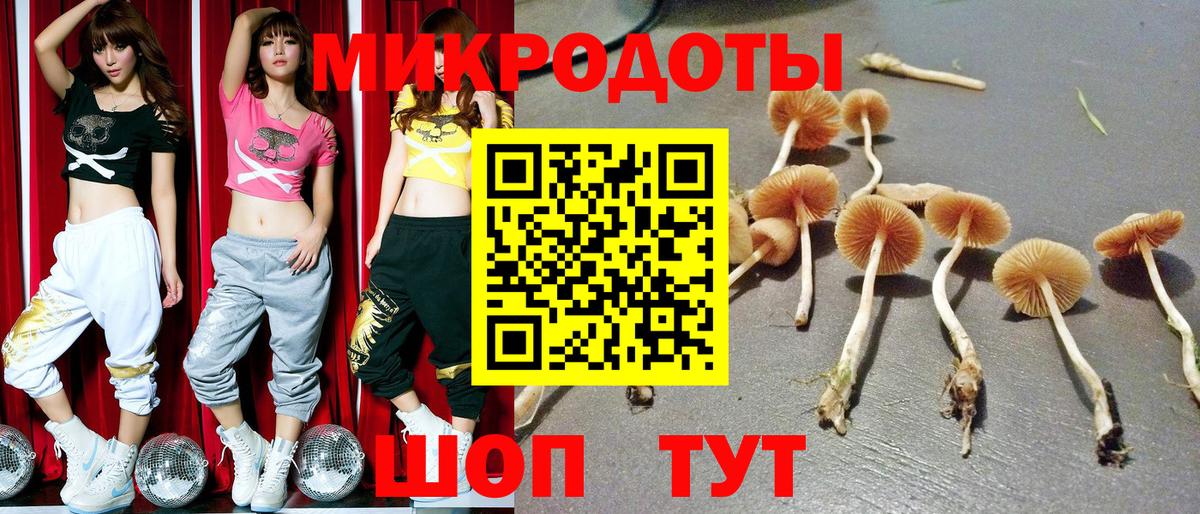 Псилоцибиновые грибы прущие грибы  где можно купить   Псилоцибиновые грибы Psilocybe  Приморско-Ахтарск  Вход с VPN 
